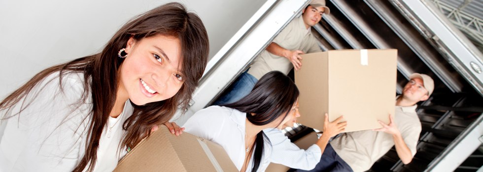 Professional Removalists Fairfield West